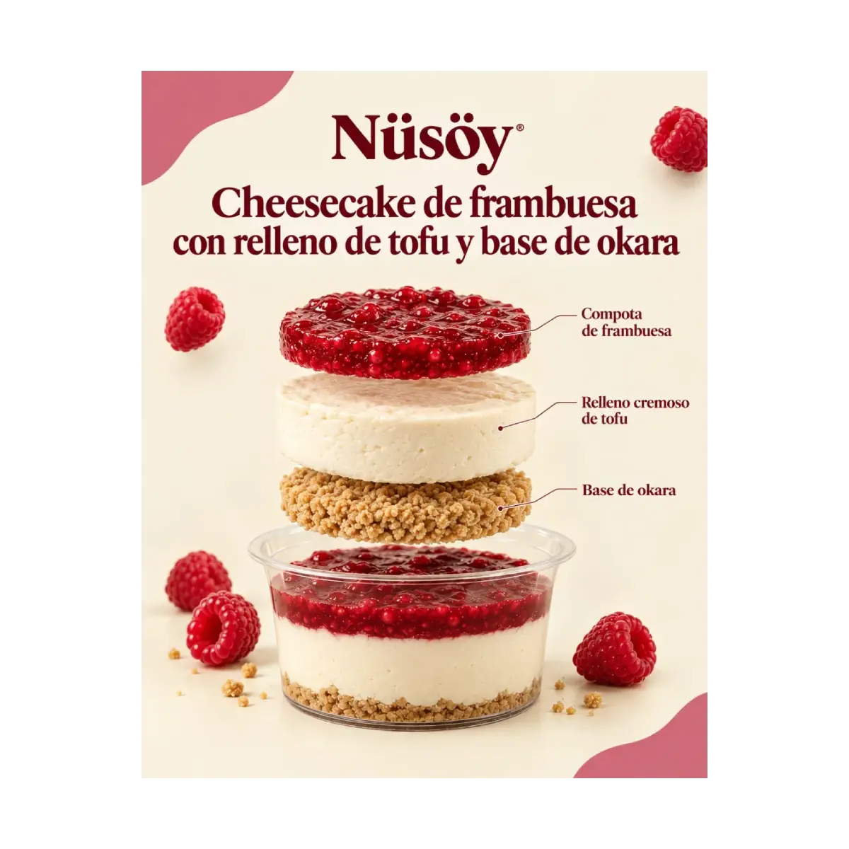 Cheesecake de Frambuesa con Tofu 130g - Nüsöy